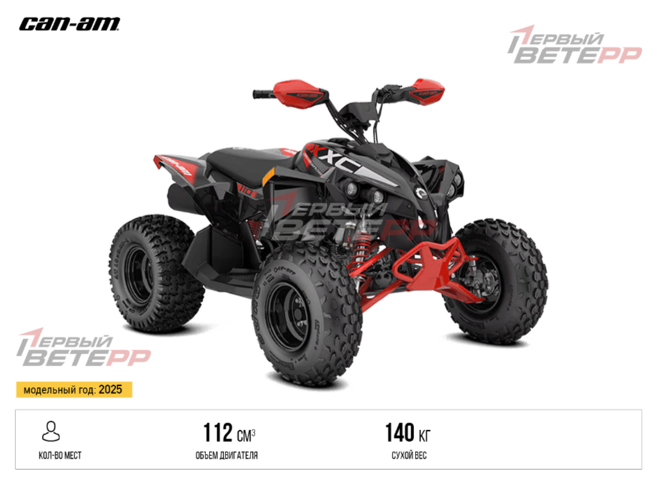 RENEGADE X XC 110 EFI (2025) v Ds